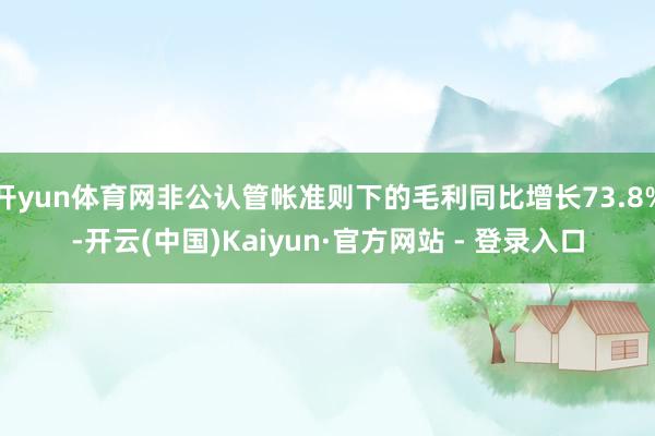 开yun体育网非公认管帐准则下的毛利同比增长73.8%-开云(中国)Kaiyun·官方网站 - 登录入口