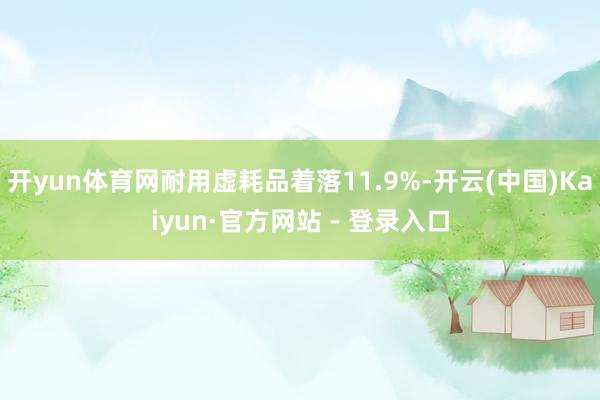 开yun体育网耐用虚耗品着落11.9%-开云(中国)Kaiyun·官方网站 - 登录入口