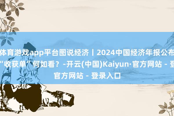 体育游戏app平台图说经济丨2024中国经济年报公布，这份“收获单”何如看？-开云(中国)Kaiyun·官方网站 - 登录入口