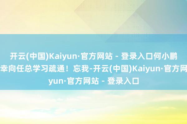 开云(中国)Kaiyun·官方网站 - 登录入口何小鹏称：今天很庆幸向任总学习疏通！忘我-开云(中国)Kaiyun·官方网站 - 登录入口