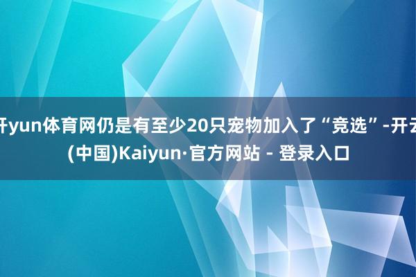 开yun体育网仍是有至少20只宠物加入了“竞选”-开云(中国)Kaiyun·官方网站 - 登录入口
