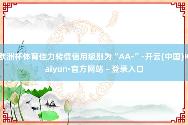 欧洲杯体育佳力转债信用级别为“AA-”-开云(中国)Kaiyun·官方网站 - 登录入口