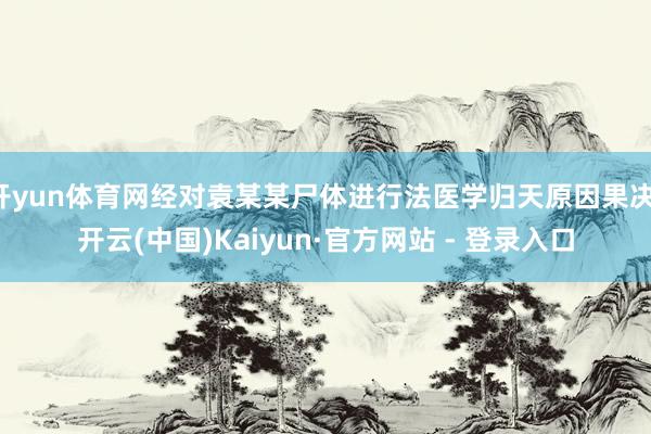 开yun体育网经对袁某某尸体进行法医学归天原因果决-开云(中国)Kaiyun·官方网站 - 登录入口