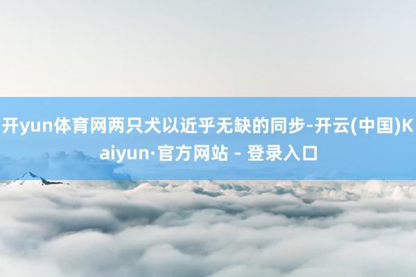开yun体育网两只犬以近乎无缺的同步-开云(中国)Kaiyun·官方网站 - 登录入口