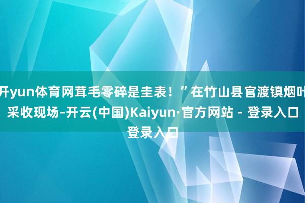 开yun体育网茸毛零碎是圭表！”在竹山县官渡镇烟叶采收现场-开云(中国)Kaiyun·官方网站 - 登录入口