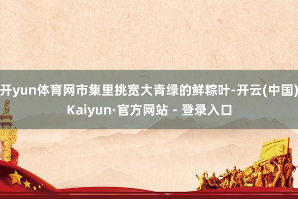 开yun体育网市集里挑宽大青绿的鲜粽叶-开云(中国)Kaiyun·官方网站 - 登录入口