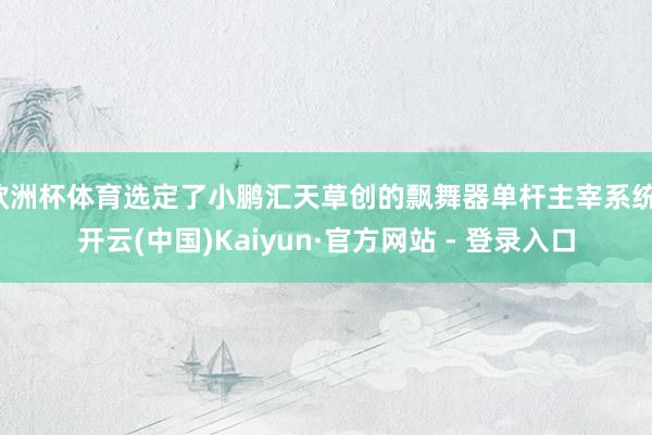 欧洲杯体育选定了小鹏汇天草创的飘舞器单杆主宰系统-开云(中国)Kaiyun·官方网站 - 登录入口