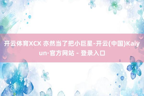 开云体育XCX 亦然当了把小巨星-开云(中国)Kaiyun·官方网站 - 登录入口