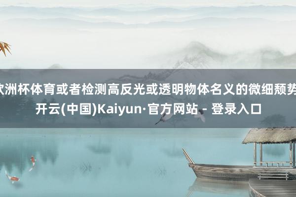 欧洲杯体育或者检测高反光或透明物体名义的微细颓势-开云(中国)Kaiyun·官方网站 - 登录入口